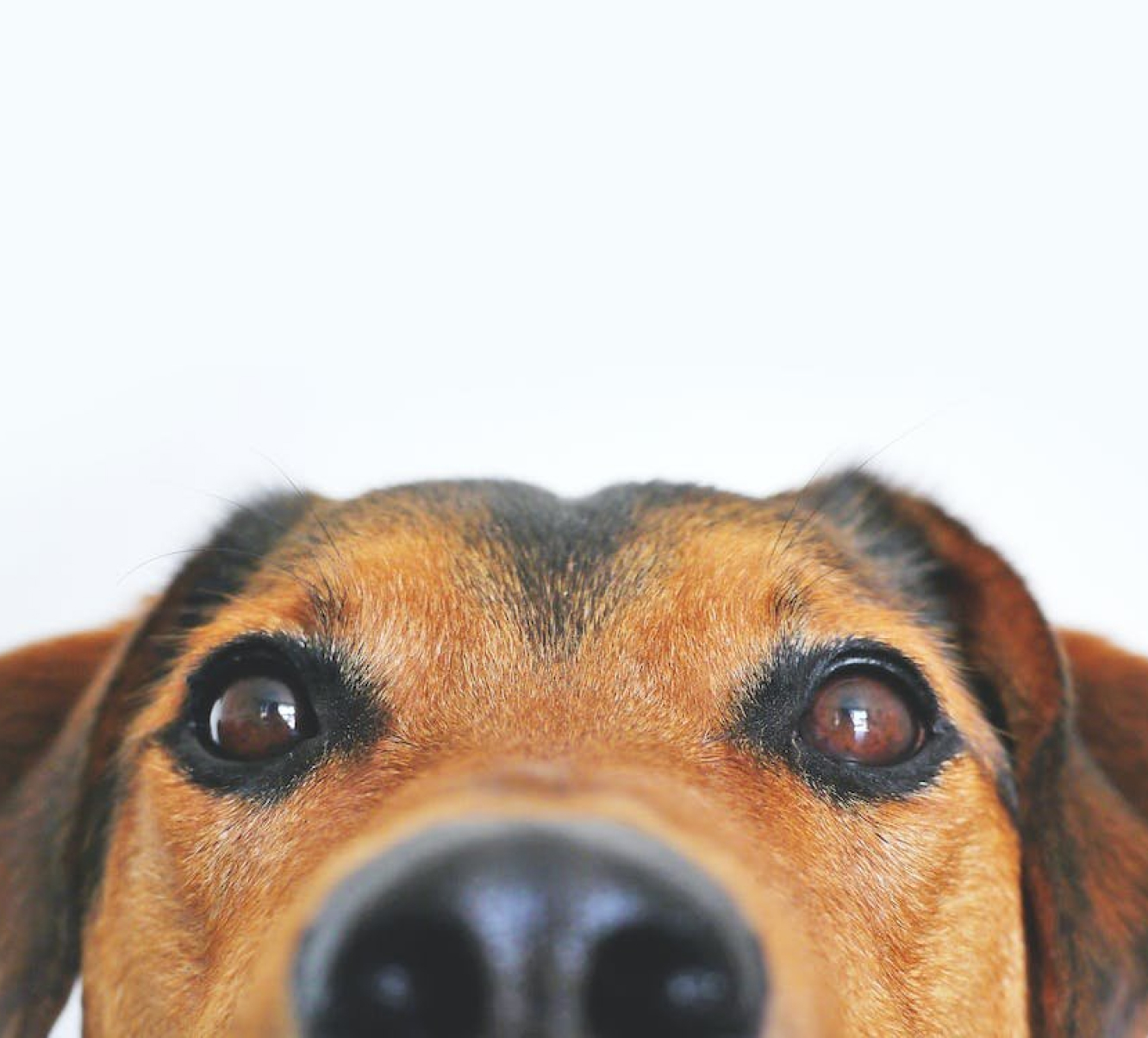 Apna Law LLP provides trusted legal services, leading to favourable outcomes in and outside of court, empowering clients to confidently navigate the legal system.